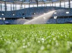 藍狐收購瓦,特福德球星,阿斯普裏拉,开云体育,开云体育官网,开云体育app,开云体育app下载